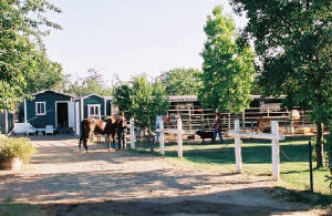 ranchphoto.jpg